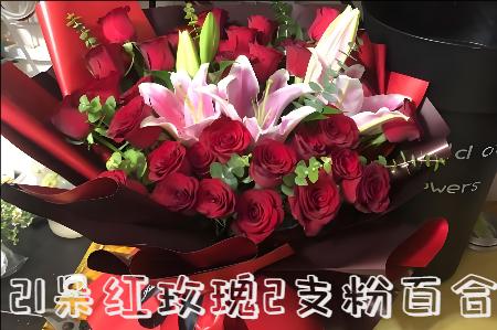 包头达尔罕茂明安联合旗花店